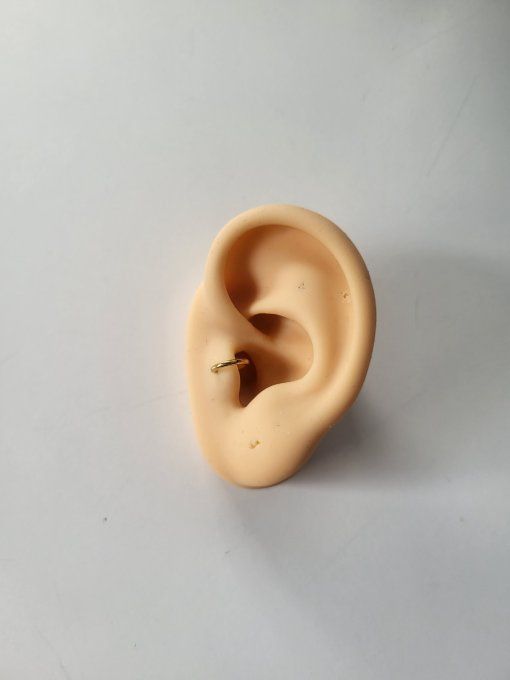 Anneau tragus 