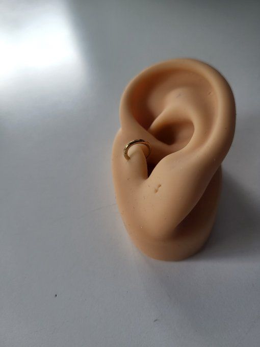 Anneau tragus 