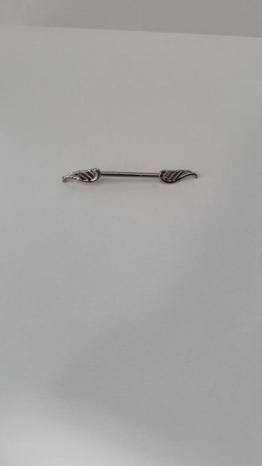 Piercing teton 
