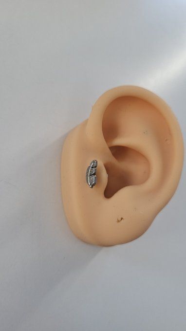 Piercing tragus push in