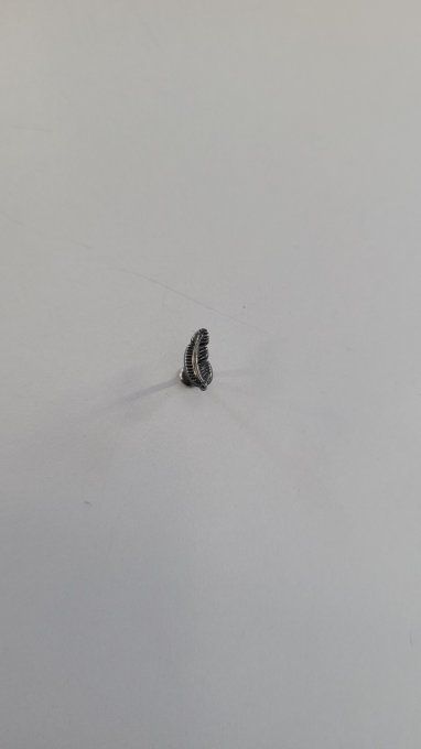 Piercing tragus push in