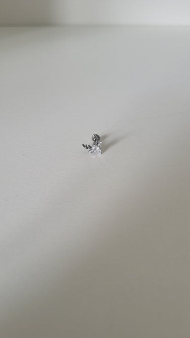 Piercing cerf 