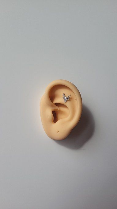 Piercing cerf 