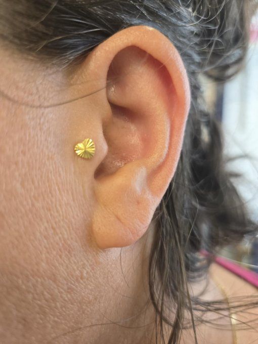 Piercing tragus