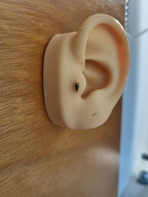 Piercing tragus