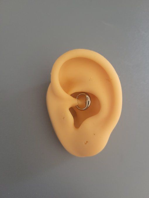 Piercing daith