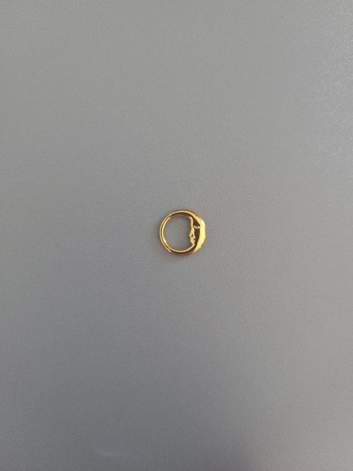 Piercing daith lune