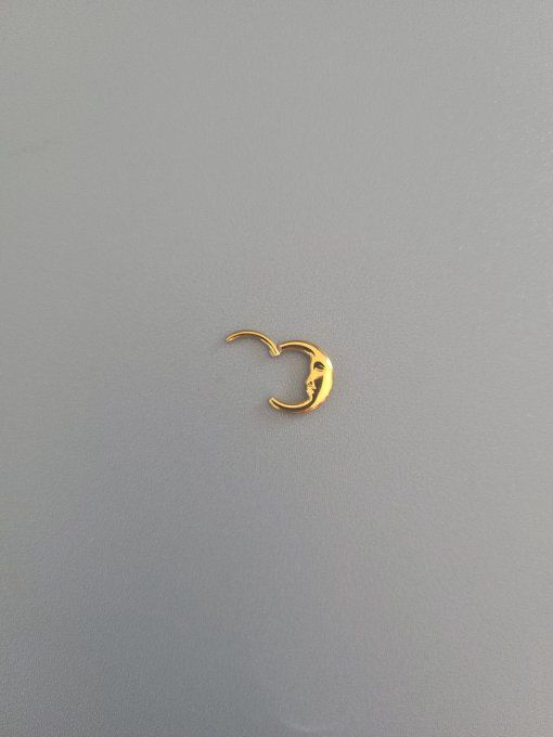 Piercing daith lune