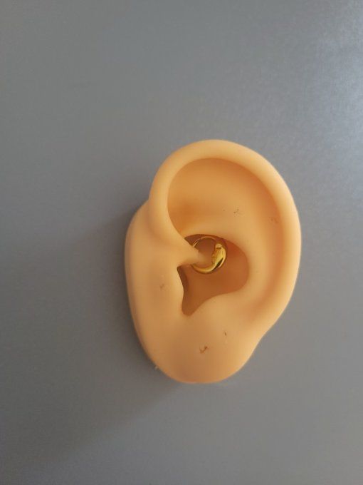 Piercing daith lune