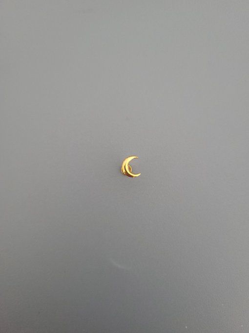 Piercing tragus lune 