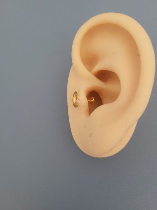 Piercing tragus lune 