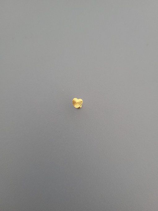 Piercing tragus