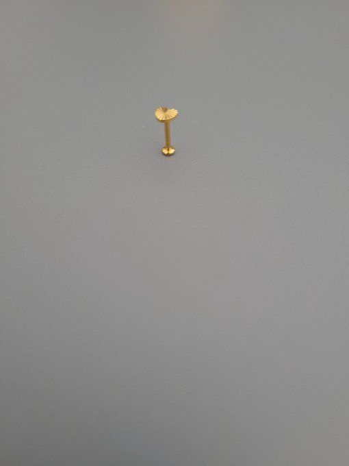 Piercing tragus