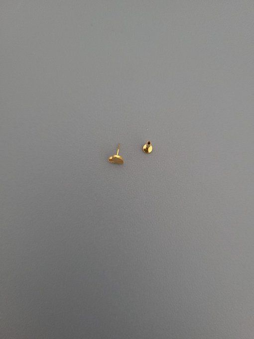 Piercing tragus