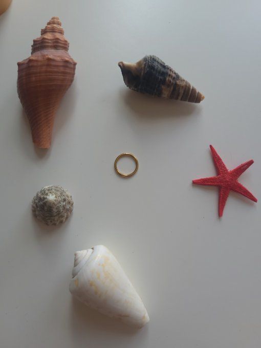 piercing conch