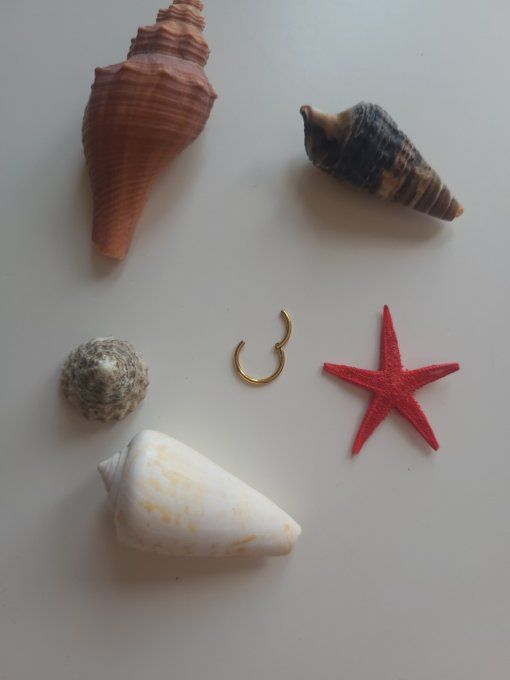 piercing conch