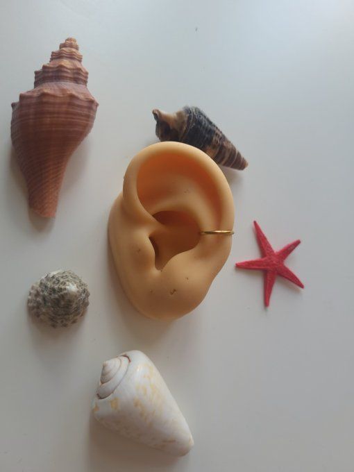 piercing conch